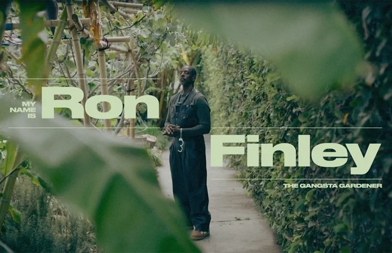 Ron Finley image